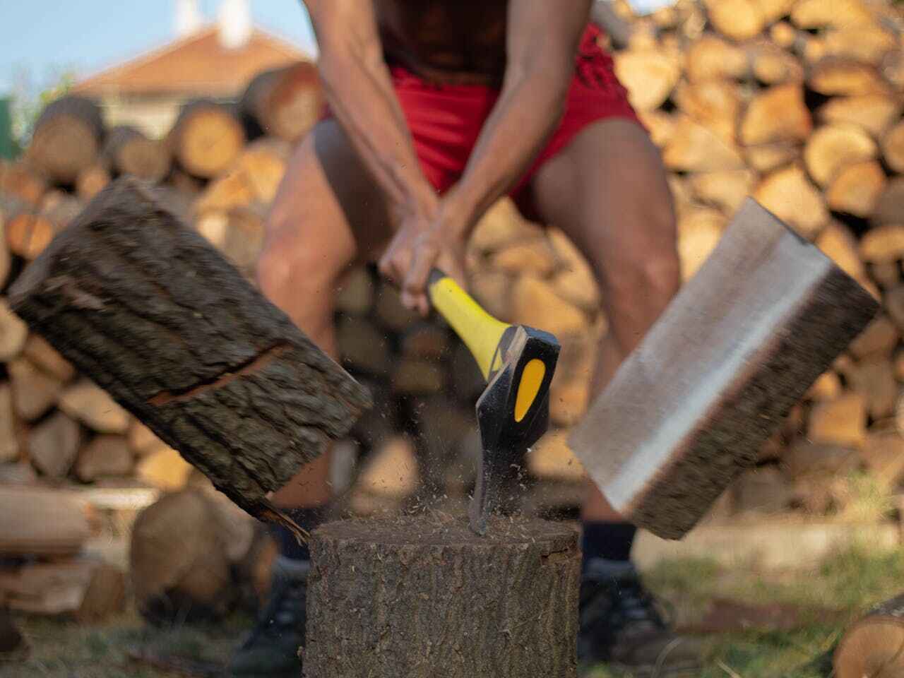 Palm Tree Trimming in Prunedale, CA